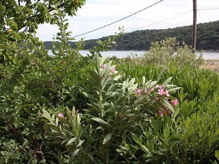 Apartment Kampor Features 5