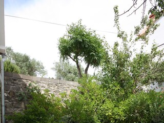 Apartment Kampor Ausstattung 8