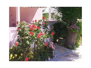 Apartment Kampor Ausstattung 9