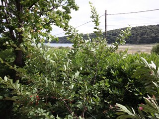 Apartment Kampor Features 14