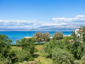 Three bedroom apartment with terrace and sea view Mirca, Brač (A-732-b) - Mirca - image1