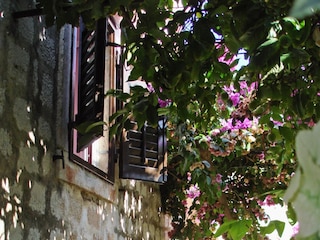 Apartment Supetar Features 11