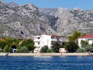 One bedroom apartment near beach Seline, Paklenica (A-6440-a) - Seline - image1