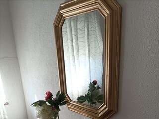 Apartment Zubovići Ausstattung 8