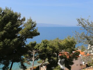 Holiday house Nemira Features 8