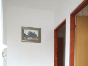 One bedroom apartment with terrace and sea view Novalja, Pag (A-9335-a) - Stara Novalja - image1