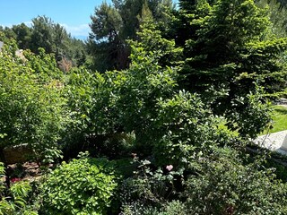 Apartment Veli Losinj Features 2