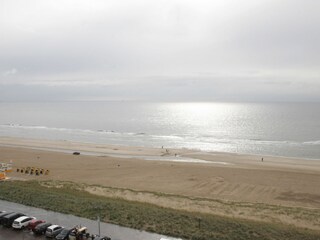 Holiday apartment Egmond aan Zee Environment 14