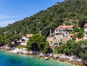 One bedroom apartment near beach Ubli, Lastovo (A-16599-a) - Pasadur - image1