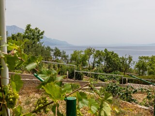 Apartment Pisak Ausstattung 11