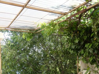 Ferienhaus Ruskamen Ausstattung 4