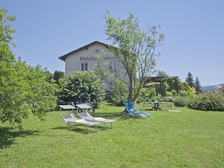 Garden with lawn