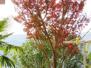 Apartment Rabac Features 2