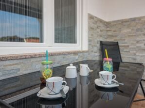 Two bedroom apartment with terrace Vir (A-19466-a) - Privlaka - image1