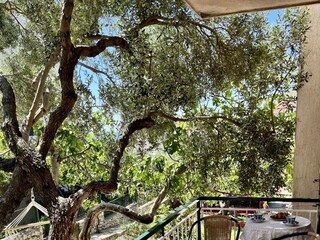 Apartment Makarska Ausstattung 3