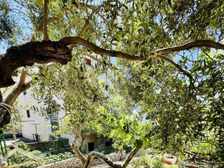 Apartment Makarska Ausstattung 5