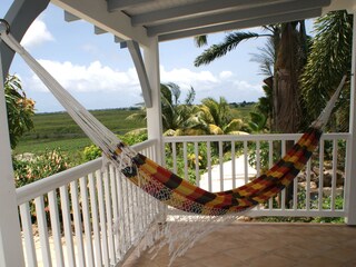 Nap in hammock