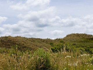 Freier Blick in die Dünen
