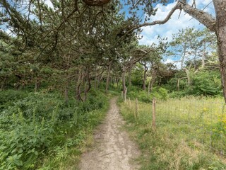 Chalet De Haan Omgeving 21