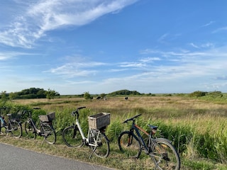 Föhr ist perfekt zum Radfahren