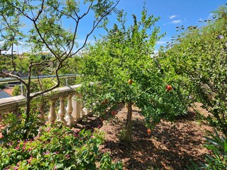 Studio Apartment mit Gartenblick