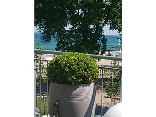 Appartamento per vacanze Kühlungsborn-West Registrazione all'aperto 6