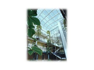 Appartamento per vacanze Kühlungsborn-West Registrazione all'aperto 9