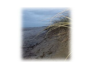 Appartamento per vacanze Kühlungsborn-West Registrazione all'aperto 15