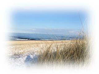 Appartamento per vacanze Kühlungsborn-West Ambiente 60