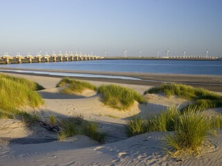 Vakantiehuis Kamperland Omgeving 19