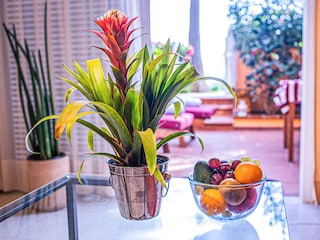 Holiday apartment Costa Calma Features 15