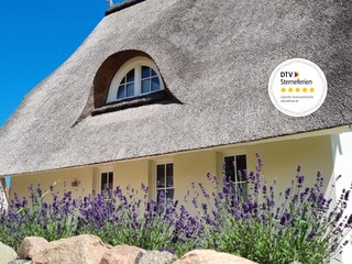 Ferienhaus Am Salzhaff  16