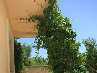 Apartment Orebic Features 4