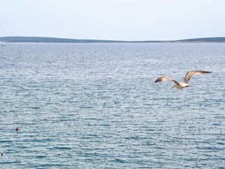 Apartment Mandre Ausstattung 9