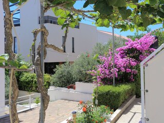Apartment Okrug Donji Features 2
