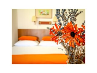 Apartment Mrljane Ausstattung 4