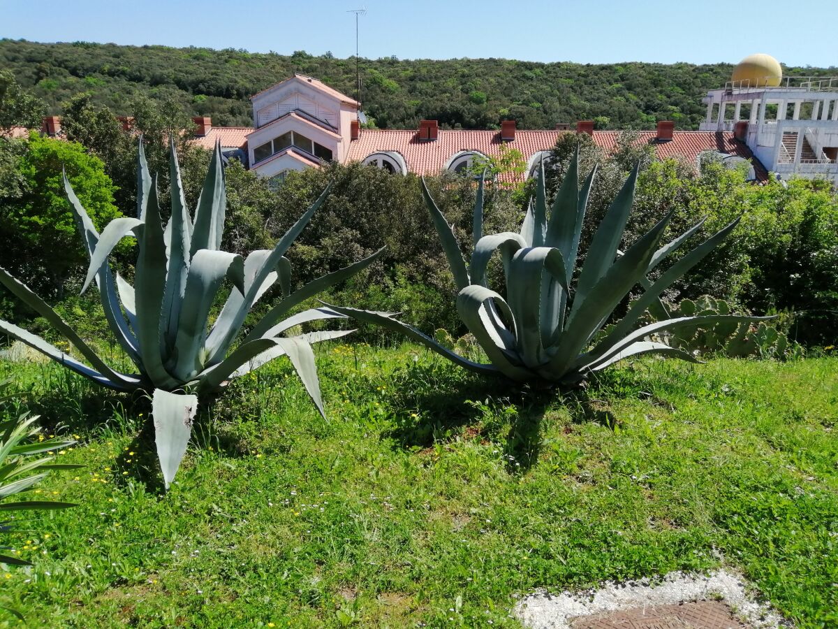 Apartment Pavićini Ausstattung 1