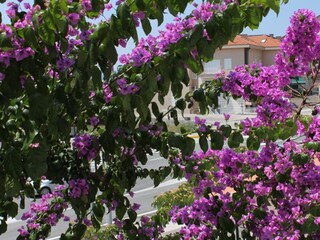 Apartment Makarska Features 9