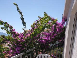 Apartment Podaca Features 7