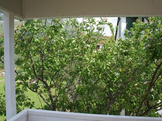 Apartment Podaca Features 6