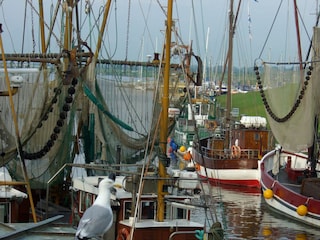 Der Kutterhafen von Greetsiel.