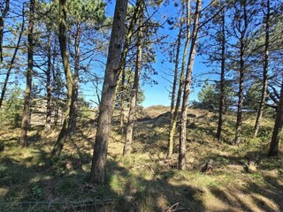 Ferienhaus Kongsmark  6