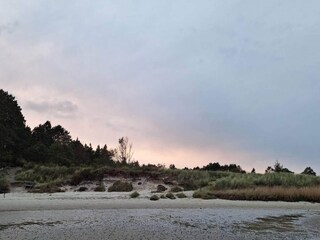 Ferienhaus Kongsmark  7