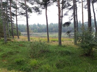 Vakantiehuis Kongsmark  9