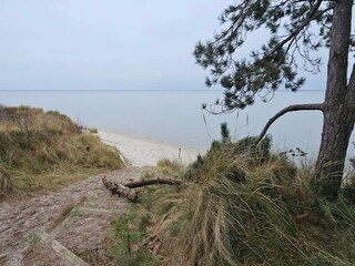 Vakantiehuis Kongsmark  24