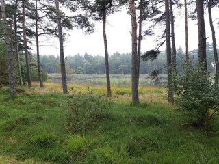 Ferienhaus Kongsmark  36