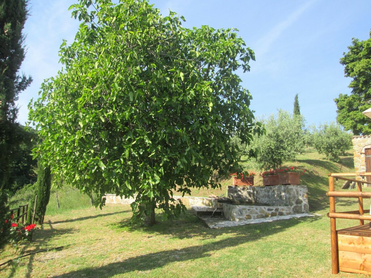 Villa Castelnuovo di Val di Cecina Außenaufnahme 10