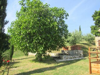 Villa Castelnuovo di Val di Cecina Registrazione all'aperto 7