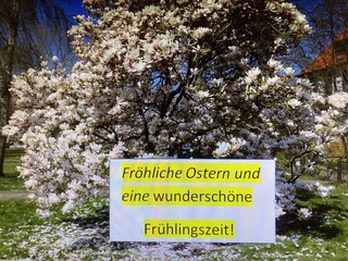 Appartamento per vacanze Cuxhaven Zentrum & Grimmershörn Ambiente 40