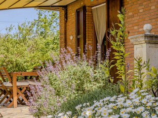 Villa Mondavio Außenaufnahme 13